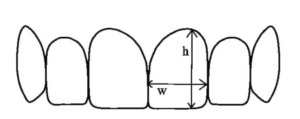 Height versus width of teeth