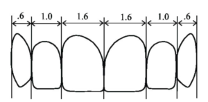 Tooth size and proportions | Golden Proportions | Smile aesthetics